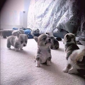 Meet your Posher, Jenny